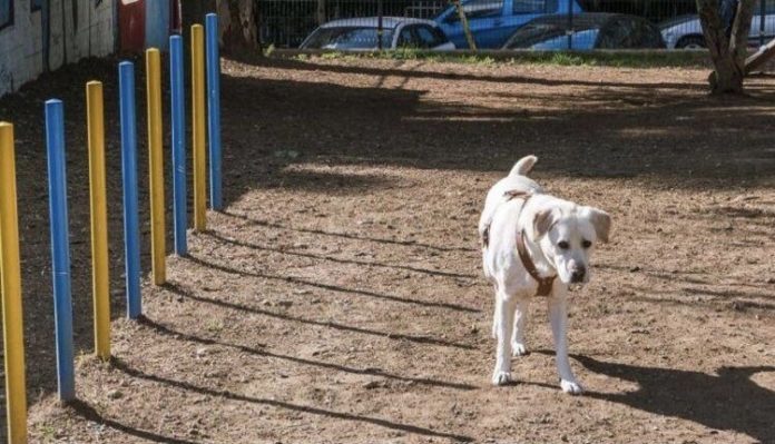 Νέα Σμύρνη Πάρκο για σκύλους