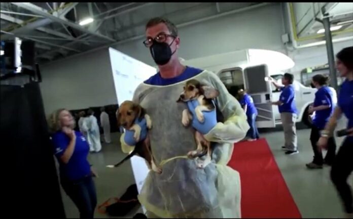 4.000 σκυλιά γλύτωσαν από των…φαρμακοβιομηχανιών τα δόντια (βίντεο)