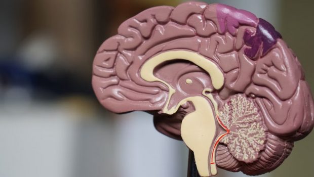 Έρευνα: Γιατί οι πολύ αδύνατοι άνδρες κινδυνεύουν από άνοια (περισσότερο ακόμη και από τις υπέρβαρες)