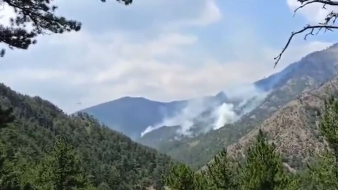 Βάλια Κάλντα: Έσβησε η φωτιά στον εθνικό δρυμό
