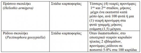Βαμβάκι-Εντατικοί-έλεγχοι-για-το-πράσινο-και-ρόδινο-σκουλήκι.jpg