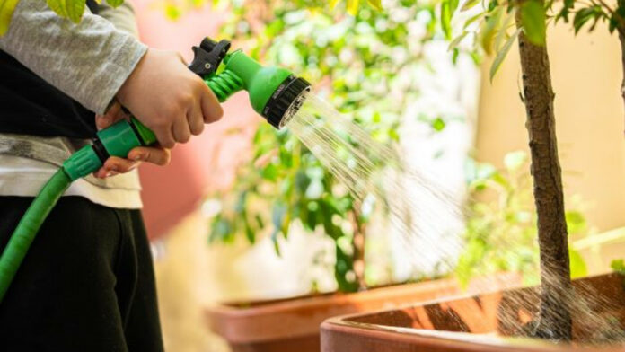 Βρετανία: Εταιρεία ύδρευσης απαγορεύει το πότισμα από τις 24 Αυγούστου