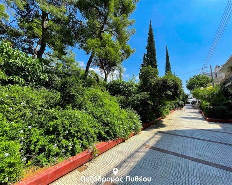 Δεκαεννέα «πράσινες» αναπλάσεις μέσα στον Αύγουστο