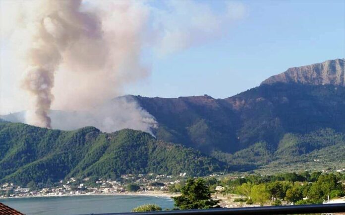 Δύο νεκρές θαλάσσιες χελώνες στη Θάσο