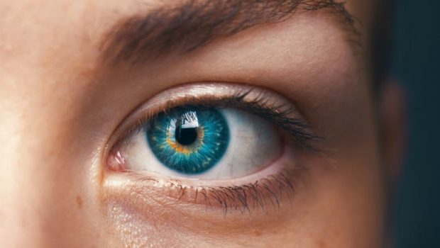 Επιστήμονες: Διορθώνουν τον κερατοειδή ασθενών με δέρμα χοίρων και τους δίνουν πίσω το φως τους