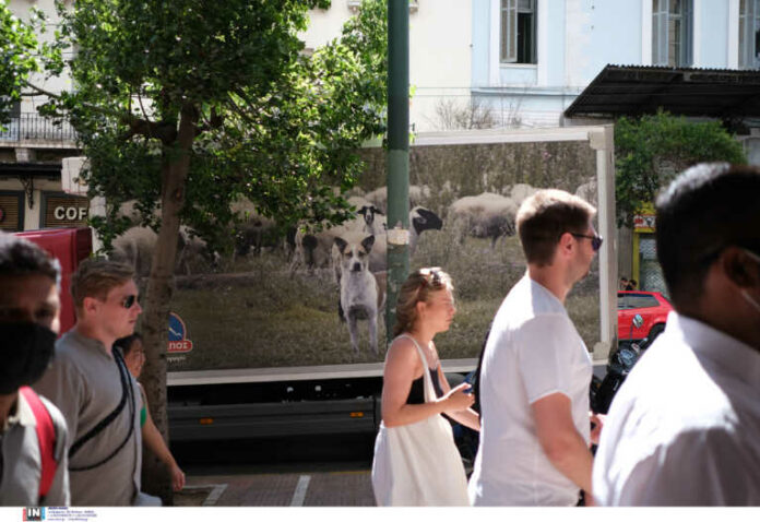 Η «Κένταυρος» μπορεί να «μπει» στην Ελλάδα και μέσα στον Αύγουστο, εκτιμά ο Σαρηγιάννης