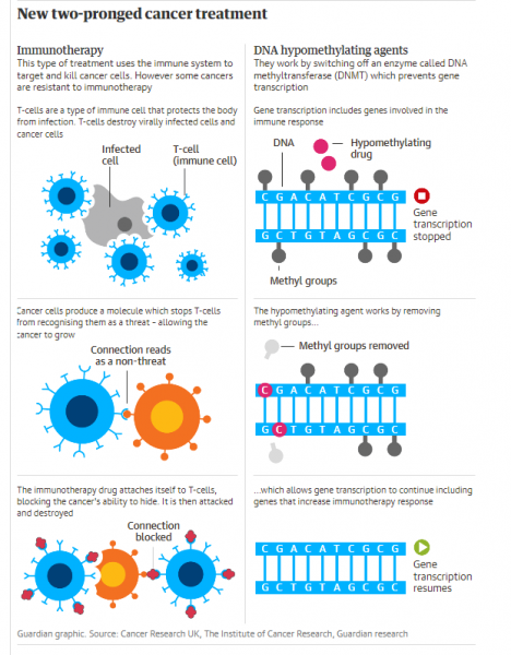Καρκίνος: Νέα θεραπεία για τον καρκίνο προσφέρει ελπίδα σε ασθενείς χωρίς επιλογές