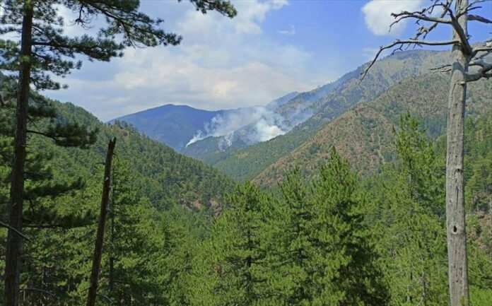 Κατασβέστηκε μετά από 16 μέρες η πυρκαγιά στον εθνικό δρυμό