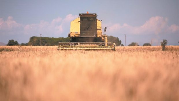 Καύσωνας και ξηρασία απειλούν την οικονομία
