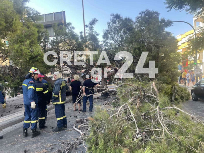 Κρήτη: Η μοιραία διαδρομή του 50χρονου οδηγού μηχανής που καταπλακώθηκε από δέντρο