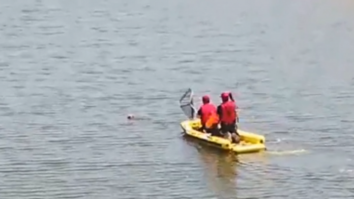 Κύπρος: Διάσωση αλεπούς που έπεσε σε λίμνη