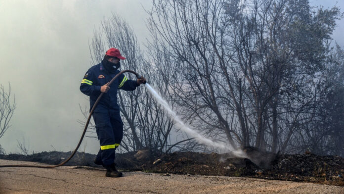 Μεσσηνία: Φωτιά τώρα στο Δήμο Πύλου – Νέστορος