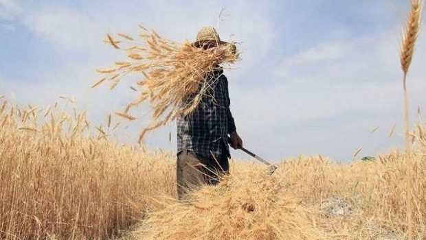 Νέοι αγρότες: Εκτός προγράμματος παραμένουν 350 υποψήφιοι της Πελοποννήσου