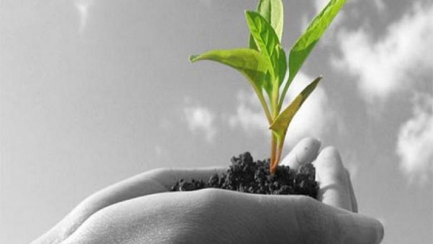 ΟΠΕΚΕΠΕ: Πώς θα γίνουν οι έλεγχοι για τα γεωργοπεριβαλλοντικά μέτρα