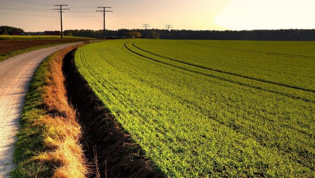 ΟΠΕΚΕΠΕ: Τι ισχύει για εκτάσεις με συγκυριότητα δημοσίου και φυσικών προσώπων
