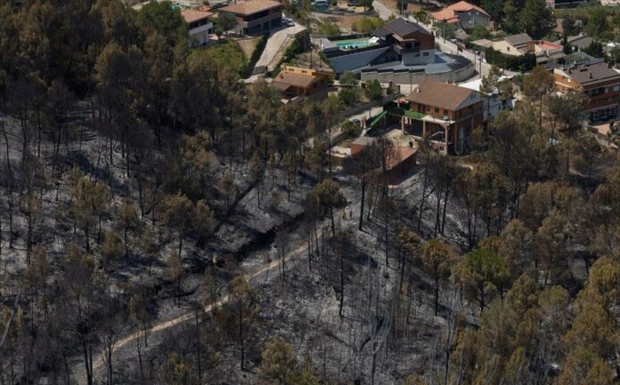 Οι πυρκαγιές καταστρέφουν κάθε χρόνο ένα «Βέλγιο»