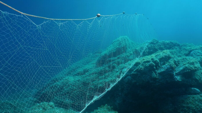 Πατέρας βρήκε νεκρό τον 35χρονο γιο του στον Παγασητικό