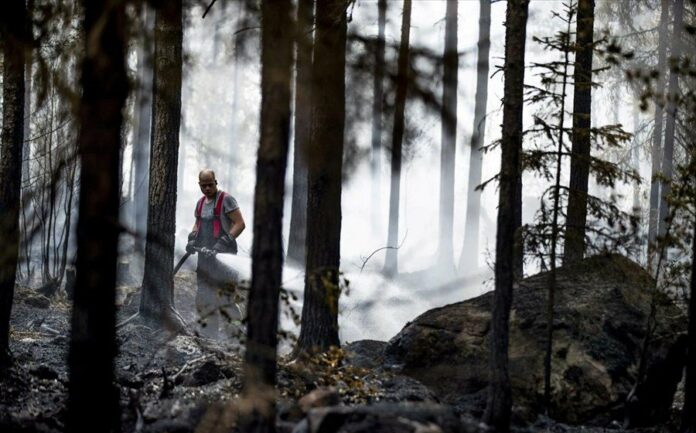 Πόσο έχει μειωθεί ανά κεφαλή τα τελευταία 60 χρόνια