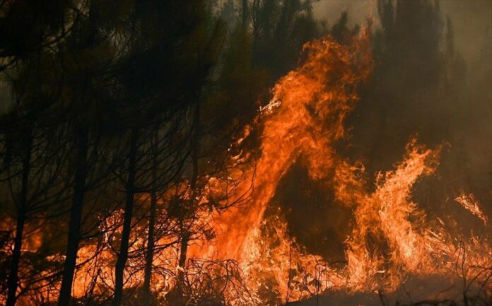 Ρεκόρ καμένων εκτάσεων φέτος στην Ευρώπη