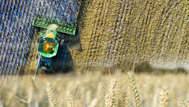 Σιτηρά: Σε αναζήτηση εναλλακτικής λύσης – Βουτιά στη ζήτηση