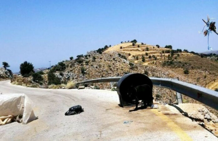 Συνελήφθη ««κηδεμόνας» βαρελόσκυλου – Είχε το ζώο δεμένο, χωρίς τροφή και νερό!