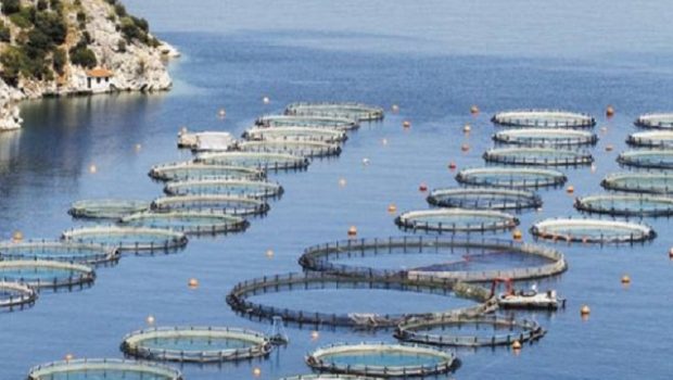 Υδατοκαλλιέργεια: Χρηματοδότηση 103,5 εκατ. ευρώ για επενδύσεις