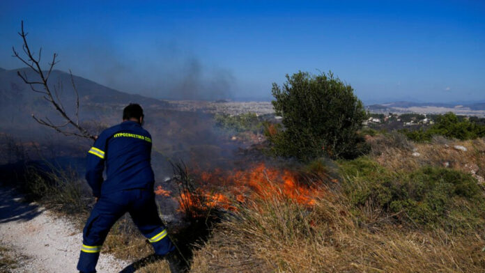 Φωτιά στα Ιωάννινα | ΣΚΑΪ