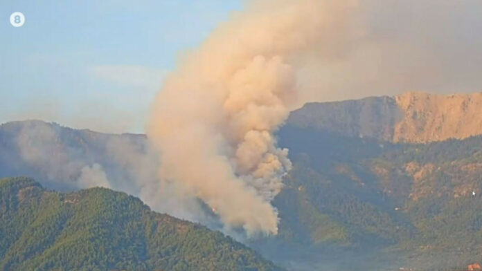 Φωτιά στη Θάσο: Σε επιφυλακή η πυροσβεστική για τυχόν αναζωπύρωση