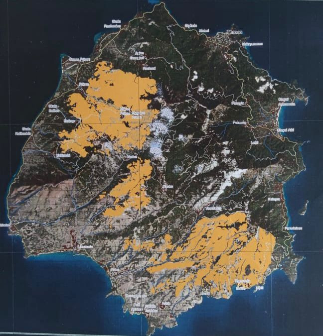 Φωτιά-στην-Θάσο-Σε-περίπου-1310-στρέμματα-περιορίστηκε-η-καμένη.jpg