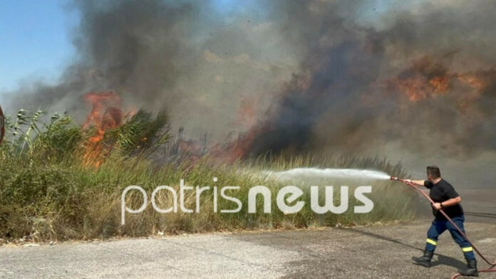 Φωτιά τώρα σε δασική έκταση στη γέφυρα Αλφειού στον Πύργο Ηλείας
