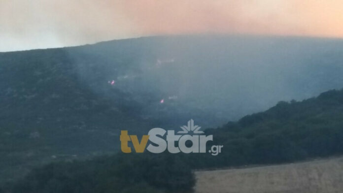 Φωτιά τώρα στη Φθιώτιδα | ΣΚΑΪ