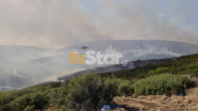 Φωτιά τώρα στο Δομοκό: Δύο τα μέτωπα