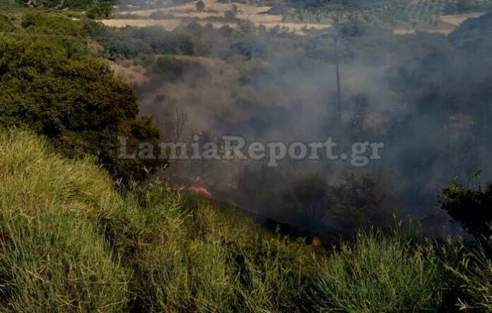 Φωτιά τώρα στο Λογγίτσι Φθιώτιδας