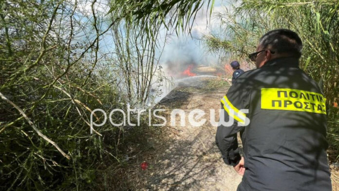Φωτιά τώρα στον Πύργο σε περιοχή ξερά χόρτα και καλαμιές