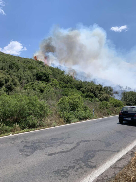 Φωτιά τώρα στον Σχίνο Μεσσηνίας