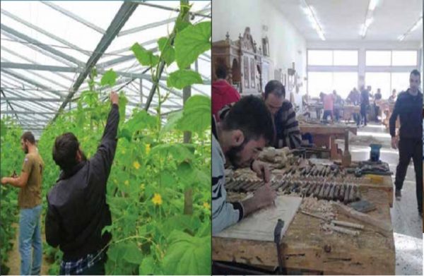 Αγροτικά ΙΕΚ: Εκπνέει η προθεσμία εγγραφής