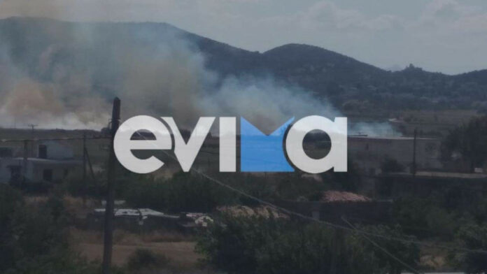 Εύβοια: Φωτιά σε αγροτική έκταση