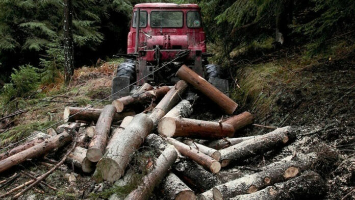 Θεσσαλονίκη: Άγνωστοι έκλεψαν 20 τόνους καυσόξυλα