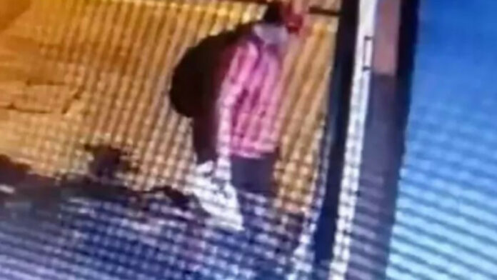 Θεσσαλονίκη: Επικήρυξαν με 3.000 ευρώ τον δράστη που σκότωσε γατάκι