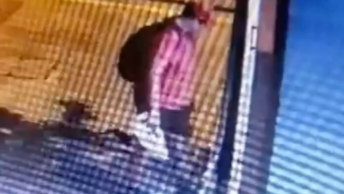 Θεσσαλονίκη: Προσήχθη ύποπτος για τη θανάτωση της γατούλας, αλλά αφέθηκε ελεύθερος