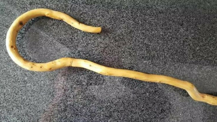 Κρήτη: Οι κτηματικές διαφορές, το σπινιάρισμα και ο καυγάς με… μπουλόνια και… κατσούνες