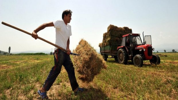 Νέοι αγρότες: Πότε θα ολοκληρωθεί η πρώτη φάση πληρωμών