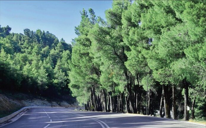 Νέος οδικός άξονας απειλεί το τοπίο της Βόρειας Εύβοιας, αγνοώντας τα υπάρχοντα προβλήματα