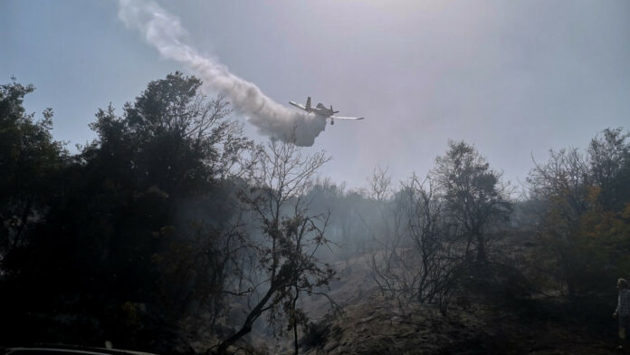 Ναύπακτος: Οριοθετήθηκε η φωτιά στην Αφροξυλιά