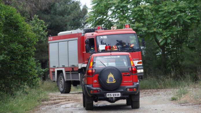 Πυρκαγιά σε δασική έκταση στην Άνω Δροσίνη Ροδόπης