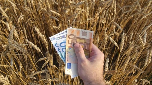Σταϊκούρας-Μέτρα-149-εκατ-ευρώ-για-αγρότες-και-κτηνοτρόφους.jpg