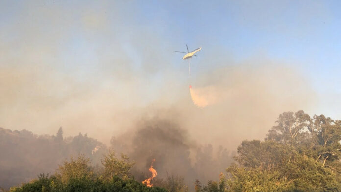 Φωτιά Τώρα: Στην περιοχή Κοκκάλα στην Ανατολική Μάνη
