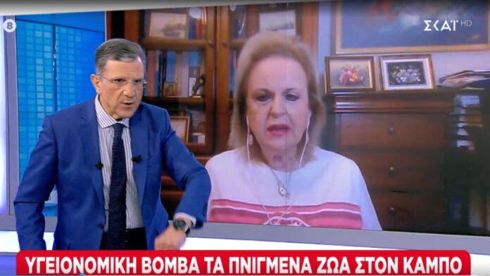 Παγώνη: Υγειονομική βόμβα τα πνιγμένα ζώα στον κάμπο