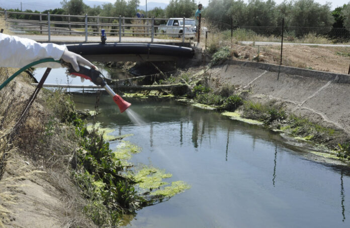 Μαγιορκίνης: «Θέμα χρόνου η εμφάνιση του δάγκειου πυρετού στη χώρα μας»