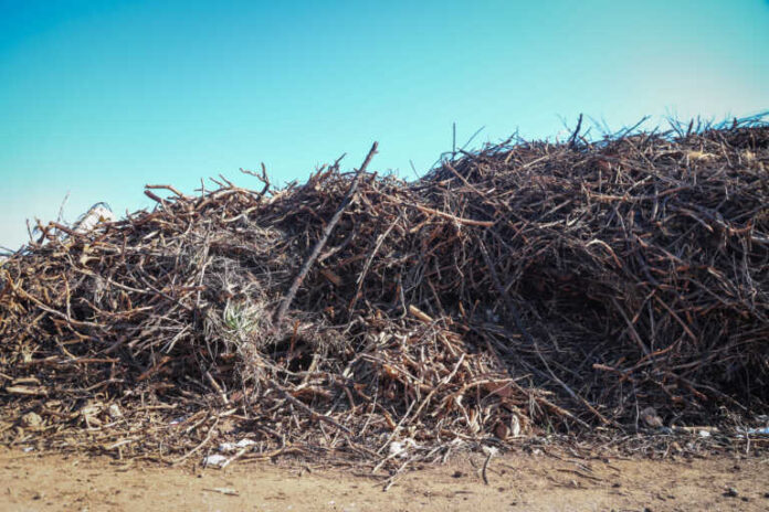 Παράταση υποβολής δηλώσεων καθαρισμού οικοπέδων στην πλατφόρμα akatharista.apps.gov.gr